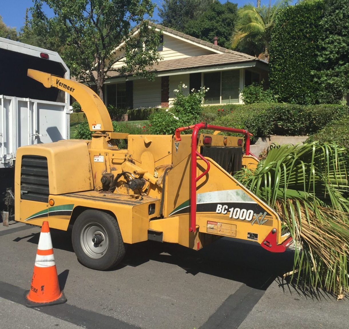 Orange County Tree Service, Trimming, Maintenance & Removal