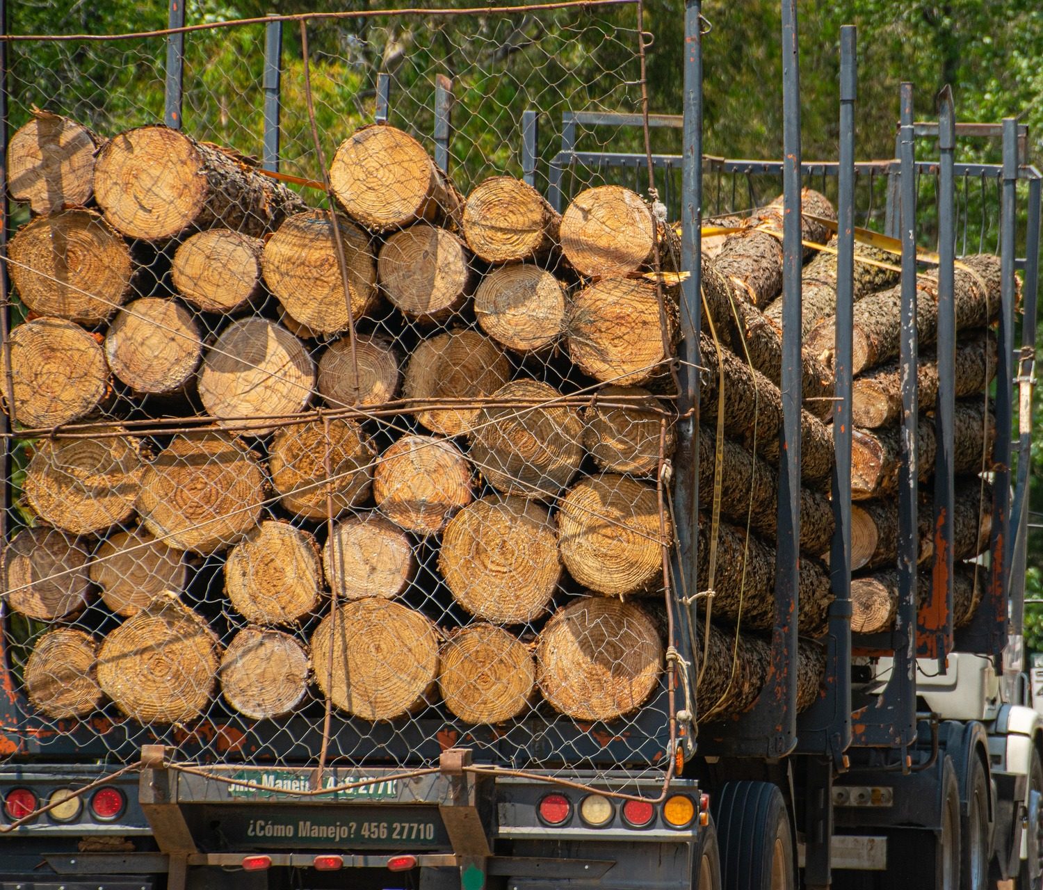 Hauling & Lot Clearing, Orange County Tree Trimming & Removal