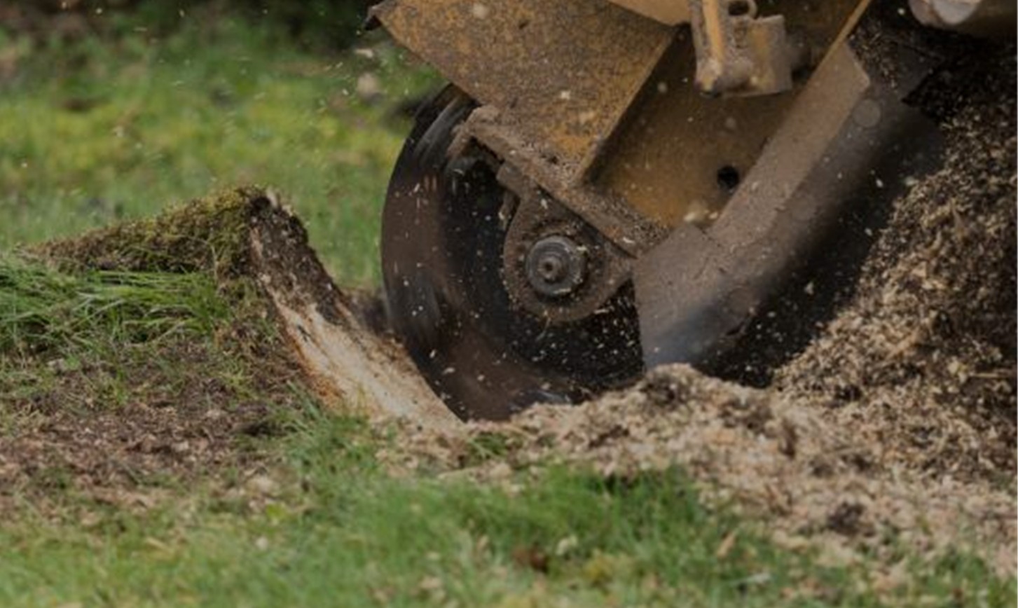 Stump Grinding, Orange County Tree Trimming & Removal
